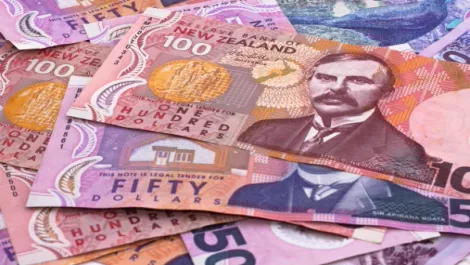 Money can't buy Kiwi IT talent