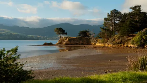 InternetNZ hosts first NetHui conference in South Island