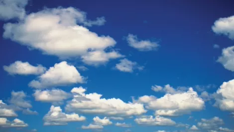 Join the cloud rush