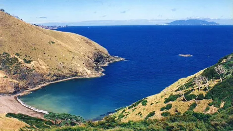 Fast broadband boost for Great Barrier Island