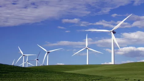 Going green