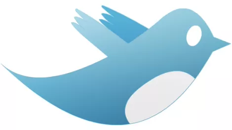 Blue bird1