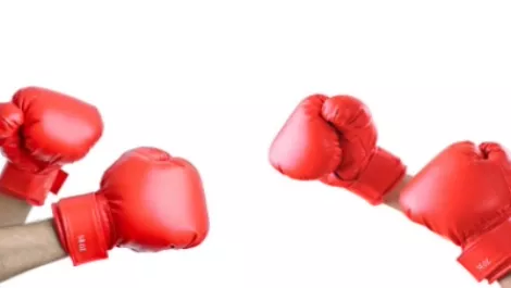 Boxing gloves