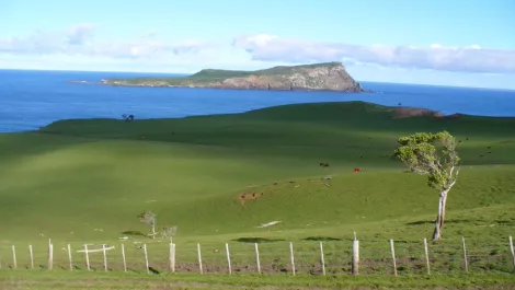 Govt embarks on $2.48m Chatham Islands broadband plan...