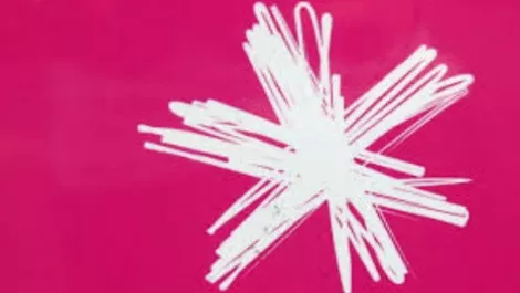 Lower South Island fibre internet cut by farmer