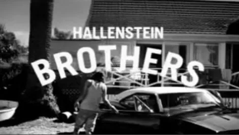 Hallenstein lifts profit 40% as it claws back market share