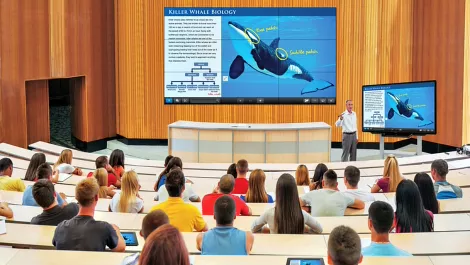 Sharp rolls out interactive whiteboard built for the classroom