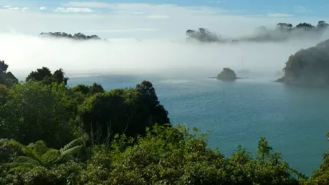 Dicker Data NZ offering up Wild NZ to Kiwi resellers