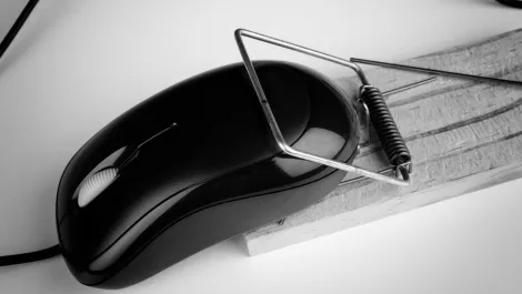 How to be the cat - not the mouse - in the fight against zero-day malware