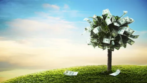 Thinkstockphotos 462171033