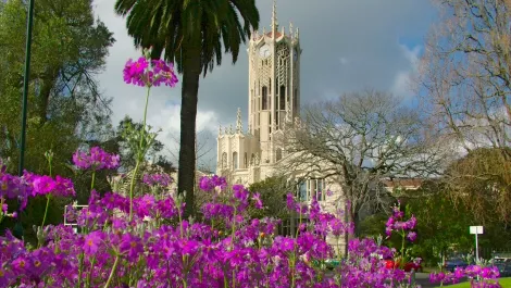Auckland Uni embraces innovative digital learning platform for student success