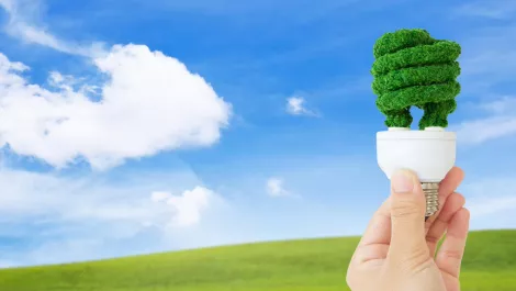 Thinkstockphotos 475253220