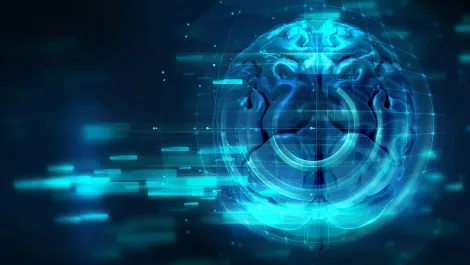 Digital brain