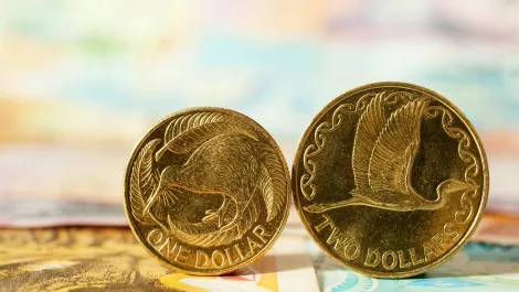 Nz money up