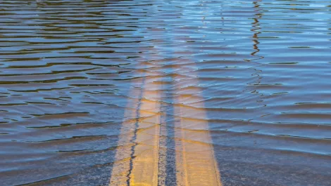 Flood