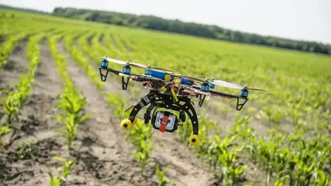 Agriculture needs to latch onto tech, expert believes