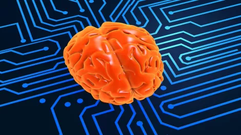 Thinkstockphotos 99508853