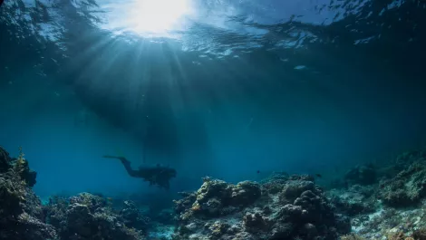 Plans for $350m cable project in motion following successful seabed survey