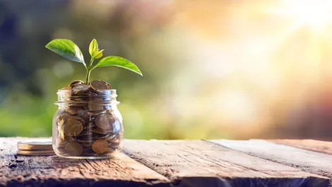 Thinkstockphotos 505872010