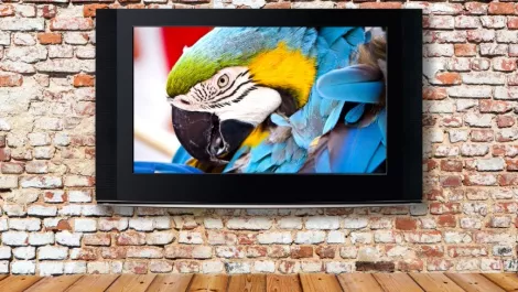 4K content is now abundantly available, but no one's watching it