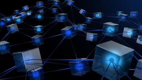 New Zealand's tech leaders get behind global blockchain platform
