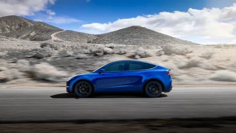 Model y side blue