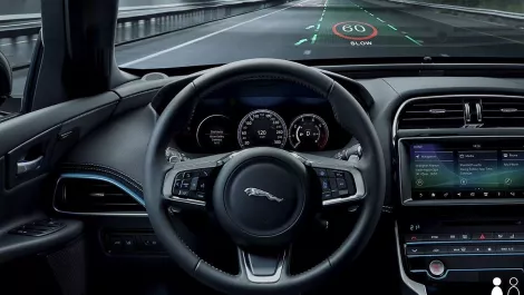 Jaguar image 3
