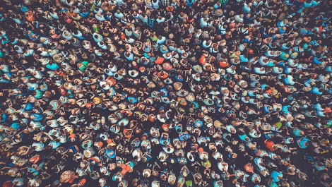 Crowd