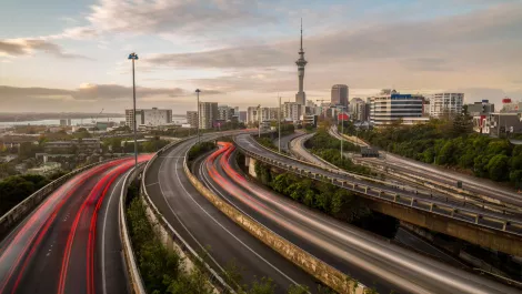 Auckland future