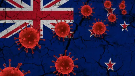 COVID-19 lockdowns make New Zealand business sitting ducks for a cyberattack
