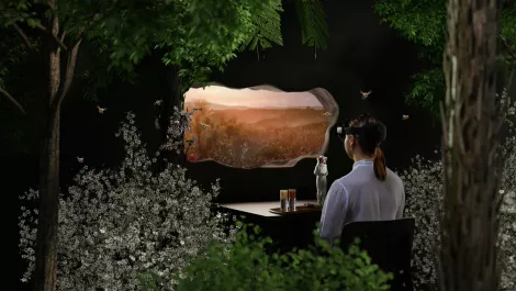 Mixed reality 1