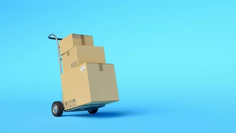 Online shoppers leaving cart because of high shipping costs - report