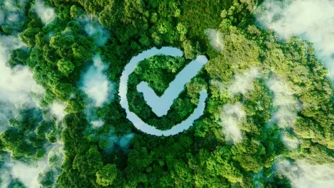 Sustainability