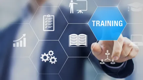 New Zealand digital tech skills survey now underway